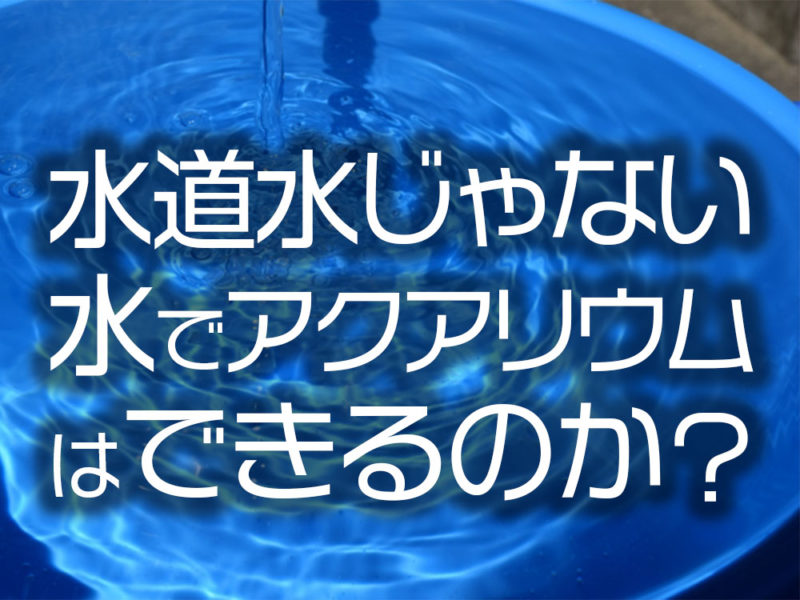 水道水じゃない水でアクアリウムはできるのかの文字画像