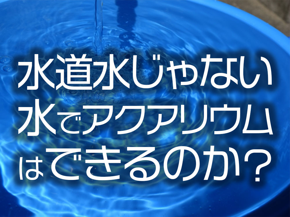 水道水じゃない水でアクアリウムはできるのか?雨水・井戸水などの注意点のサムネイル画像