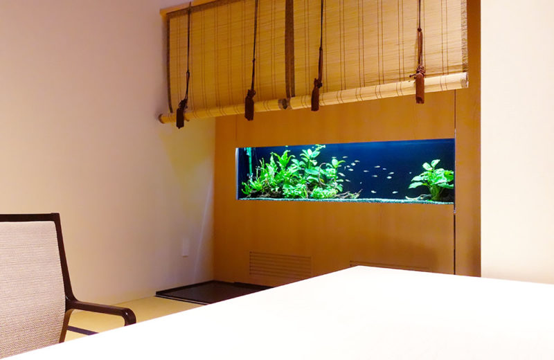 日本料理 魚月様の150cm埋め込み水槽の現在!その1 水槽画像1