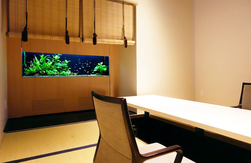 日本料理 魚月様の150cm埋め込み水槽の現在!その1 水槽画像3