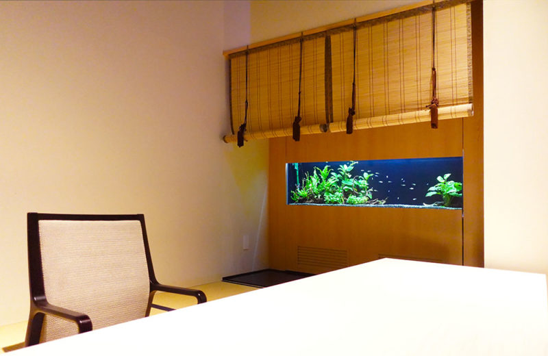日本料理 魚月様の150cm埋め込み水槽の現在!その1 水槽画像5