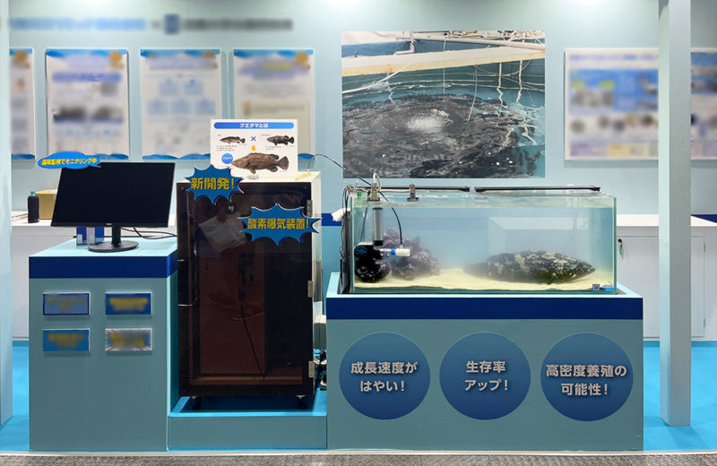 シーフードショーでクエを展示!プロモーションブースを印象的に演出 水槽画像4