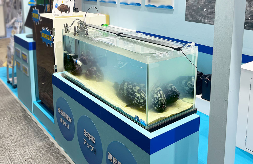 展示会場に設置された大型魚が泳ぐ横長の水槽と青い展示台