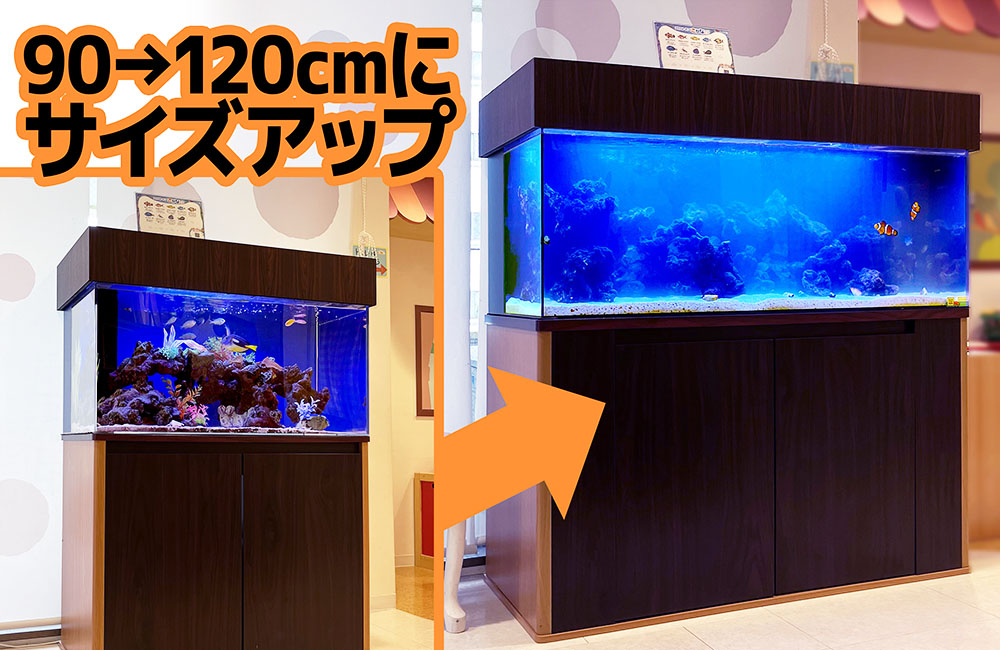 クリニックの海水水槽を90cmから120cmへサイズアップ!のサムネイル画像