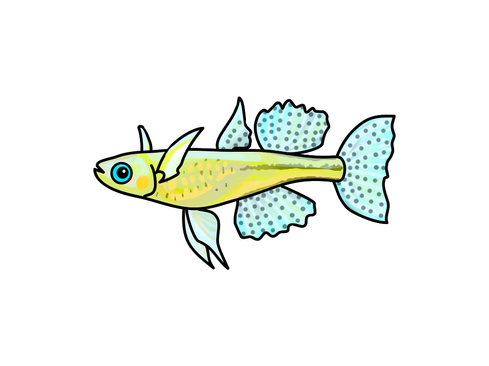 水色と黄色の体色に斑点模様のヒレを持つ熱帯魚のイラスト