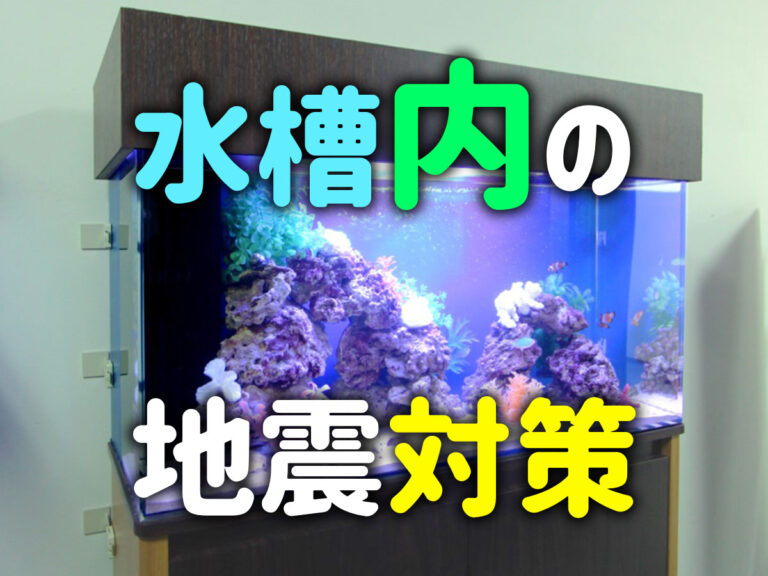 水槽内の地震対策の文字が入った海水魚水槽の見出し画像