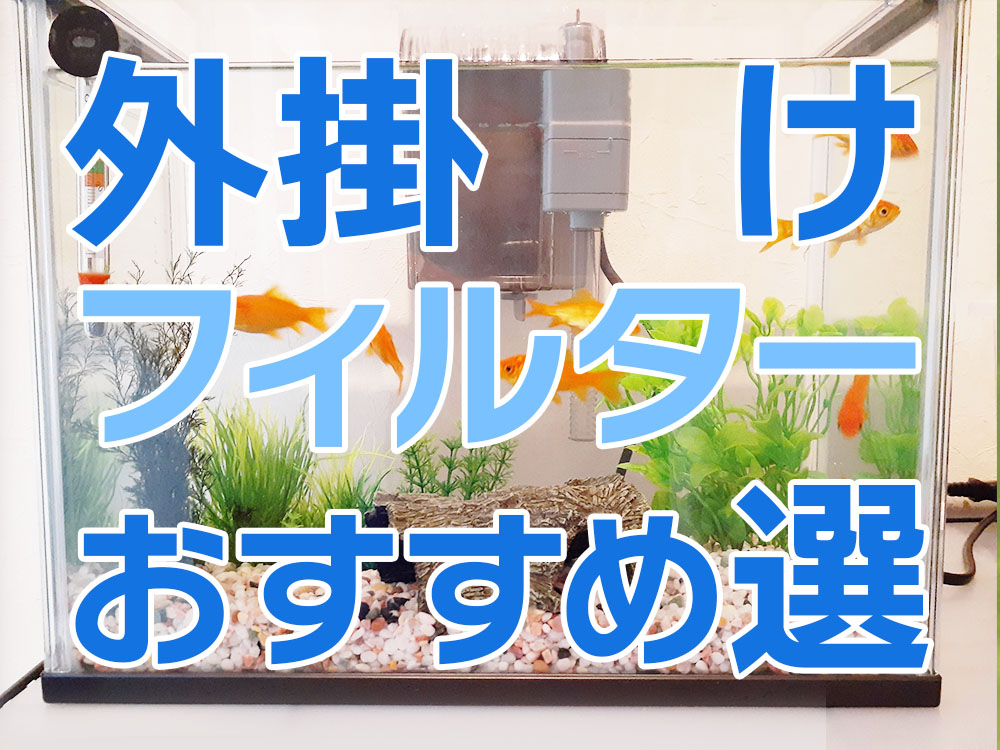 外掛け式フィルター入門！初心者にもおすすめ機種5選とパワーアップ方法のサムネイル画像