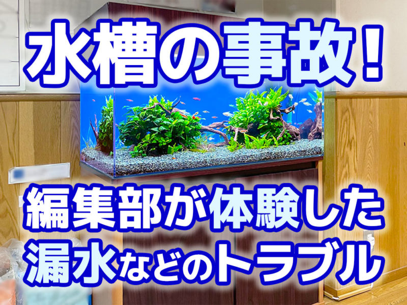 水槽の事故や漏水トラブル体験談の見出し画像