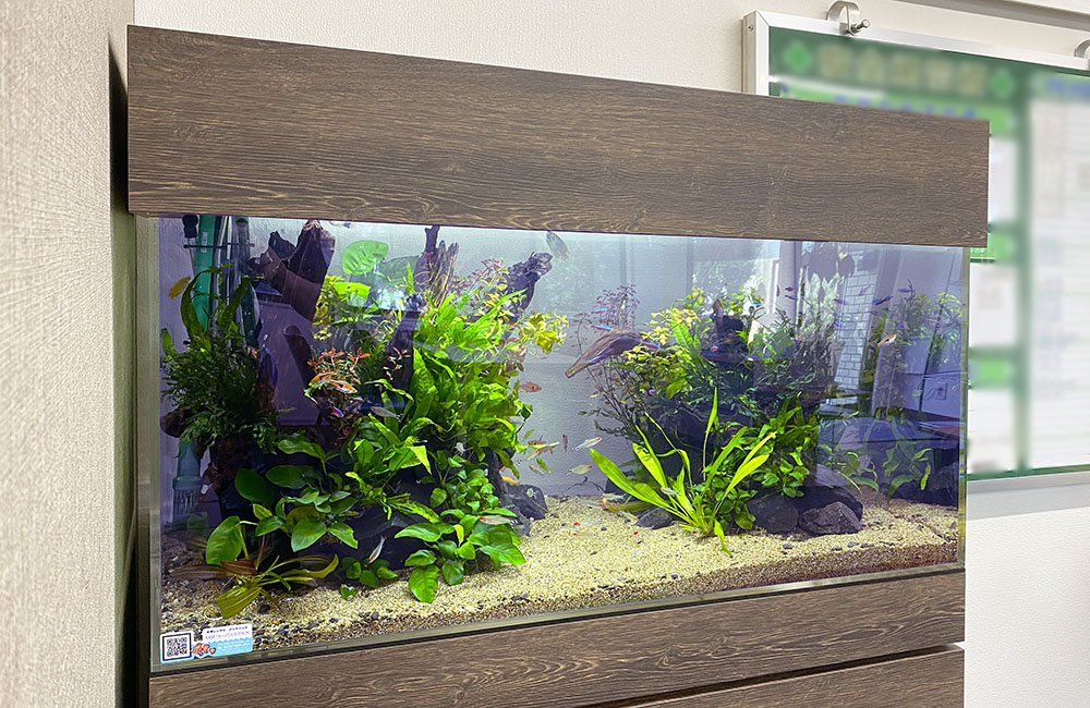 木目調のキャノピーを設置した水草レイアウト水槽の全景
