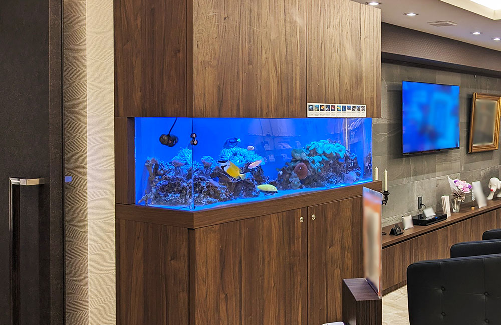 木目調キャビネットに埋め込まれた大型海水魚水槽