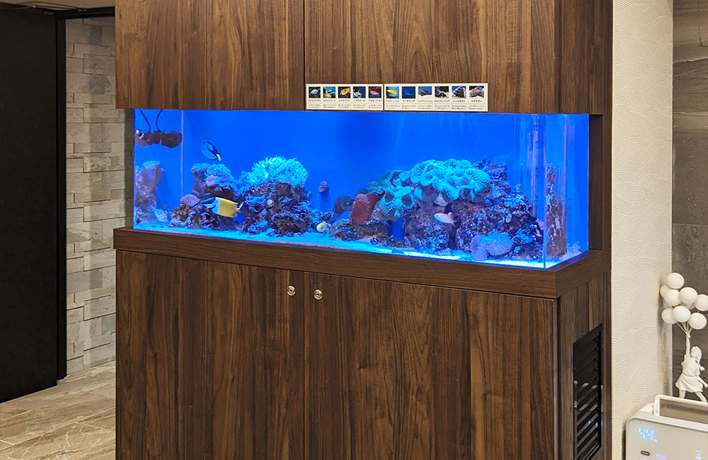 木目調の大型キャビネットに埋め込まれた海水魚水槽