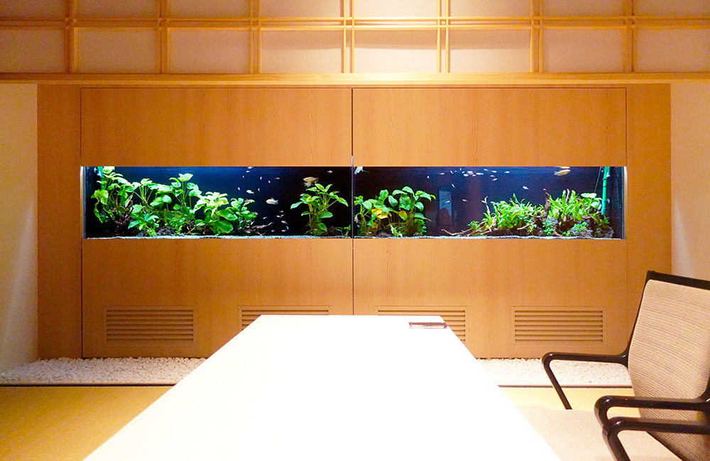 和室の壁面に埋め込まれた大型の淡水魚水槽と水草のレイアウト