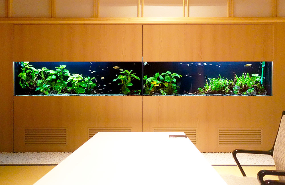 和室の壁面に埋め込まれた大型の熱帯魚水槽と水草の風景