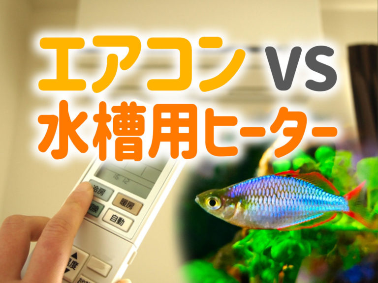 エアコンVS水槽用ヒーターの文字と熱帯魚の見出し画像