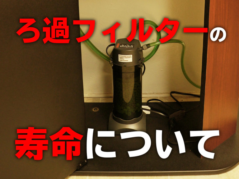 ろ過フィルターの寿命についての文字入り見出し画像
