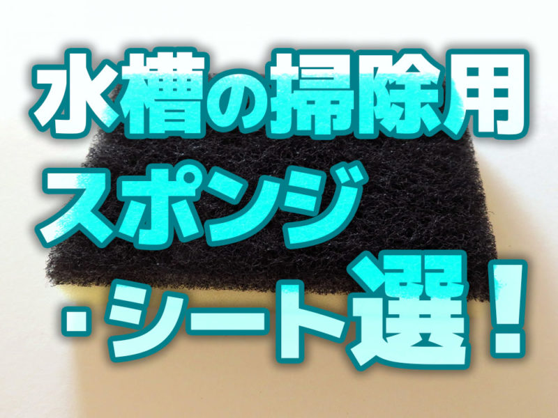 水槽の掃除用スポンジ・シート選の見出し画像
