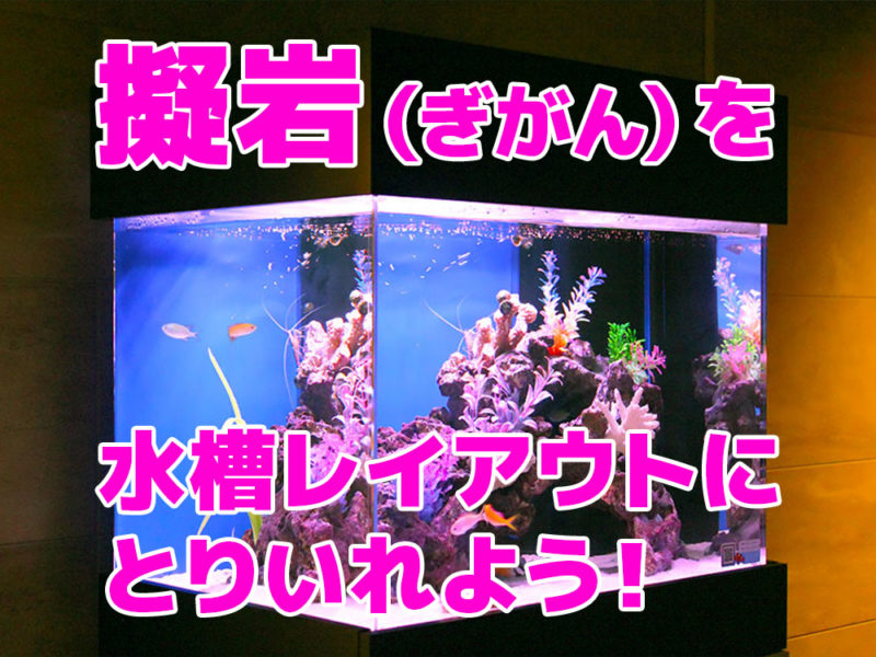 擬岩を水槽レイアウトにとりいれようの文字入り画像