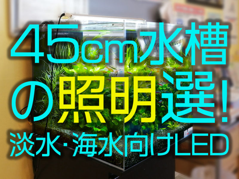 45cm水槽の照明選！淡水・海水向けLEDの見出し画像