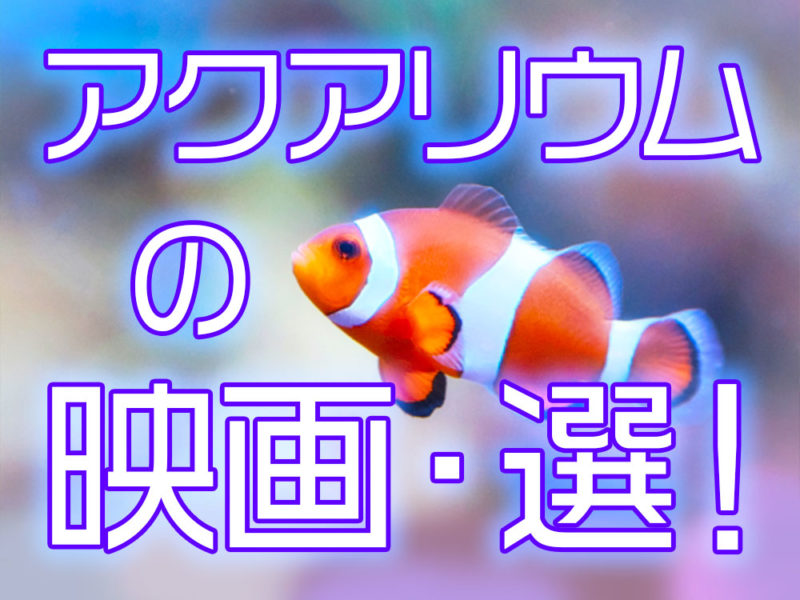 アクアリウムの映画・選!の文字とクマノミの見出し画像