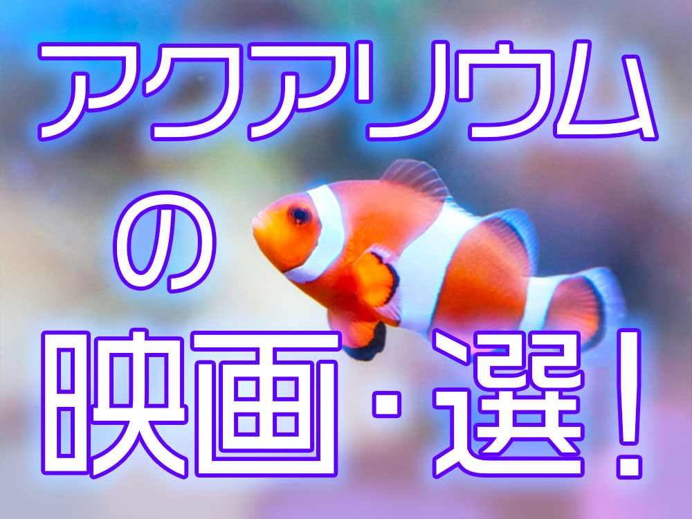 熱帯魚・アクアリウムの映画10選！魚や海の生き物が登場する映像作品のサムネイル画像