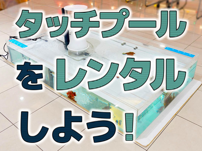 タッチプールをレンタルしよう！の文字と平型水槽の見出し画像