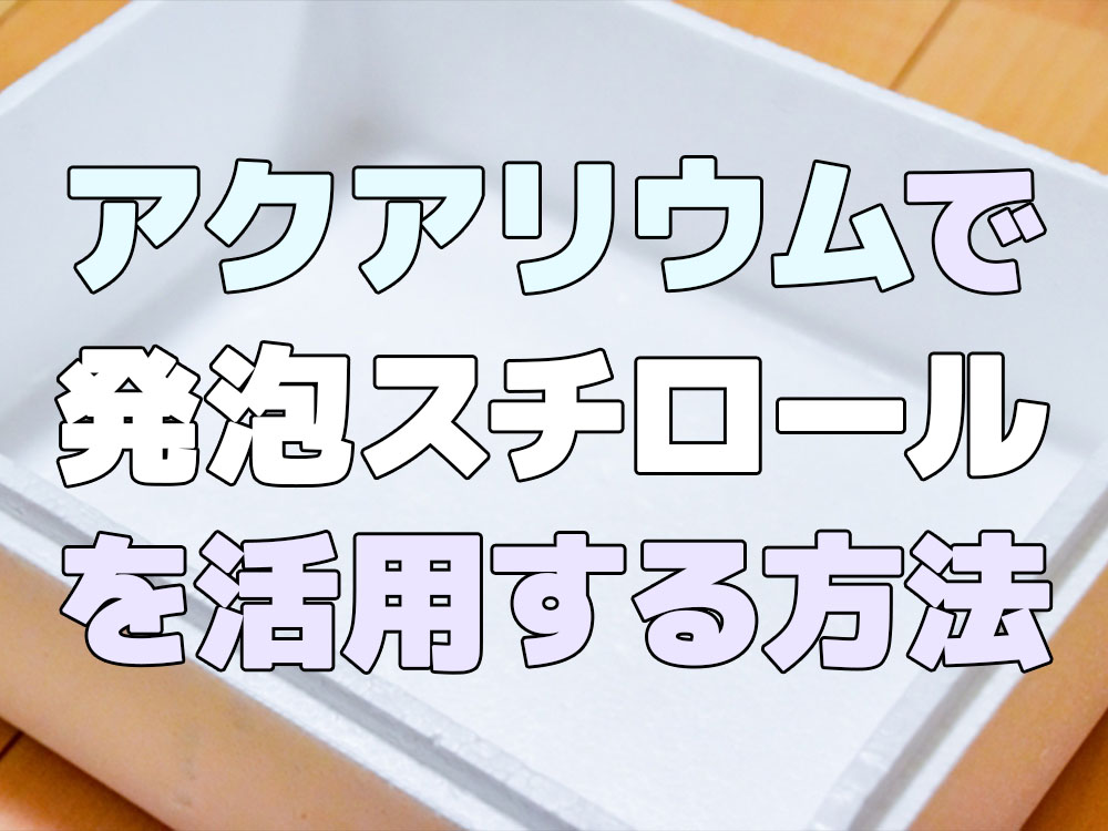 アクアリウムで発泡スチロールを活用する方法！冬におすすめの保温材のサムネイル画像