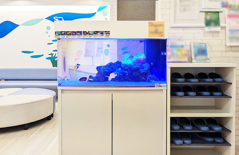 二俣川こどもクリニック様の90cm海水水槽！リースのその後