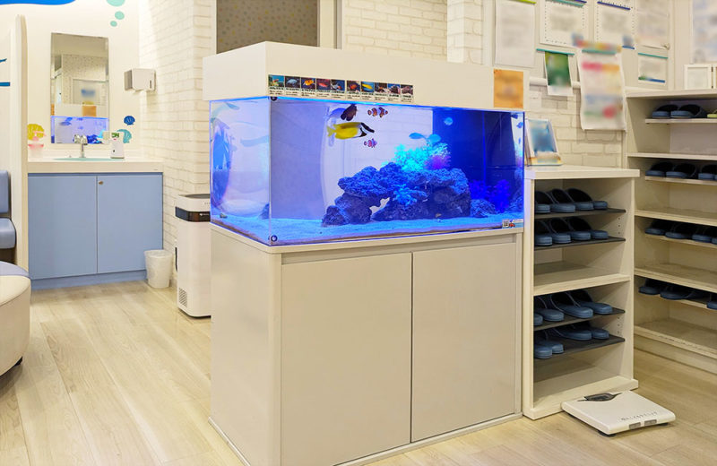 二俣川こどもクリニック様の90cm海水水槽！リースのその後 水槽画像４