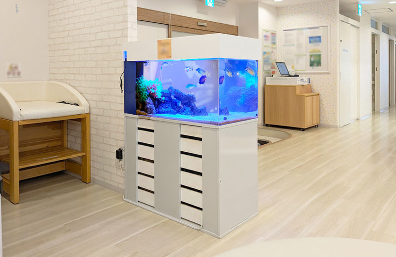 二俣川こどもクリニック様の90cm海水水槽！リースのその後 水槽画像２