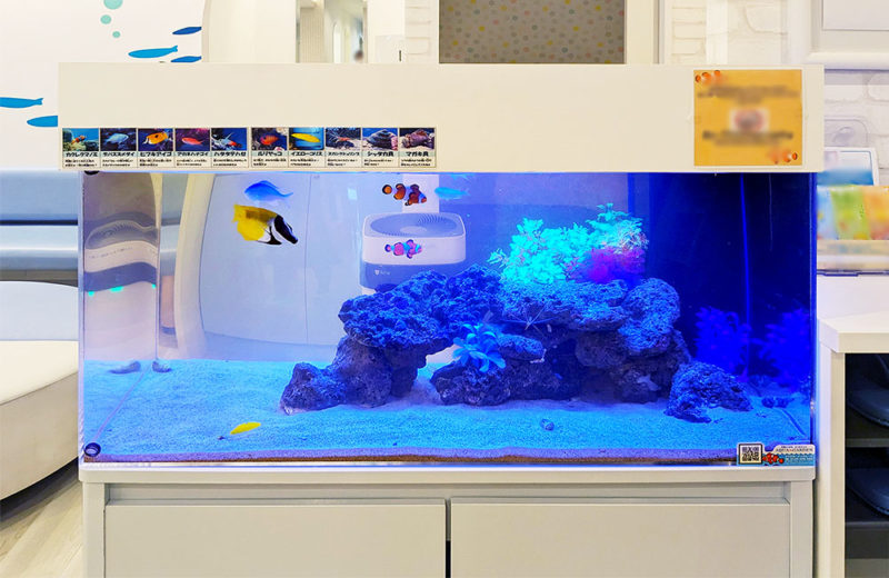 二俣川こどもクリニック様の90cm海水水槽！リースのその後 水槽画像５