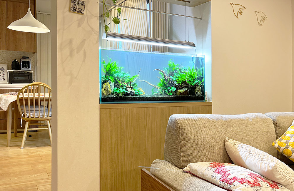 リビングのソファ横に設置された大型の水草水槽