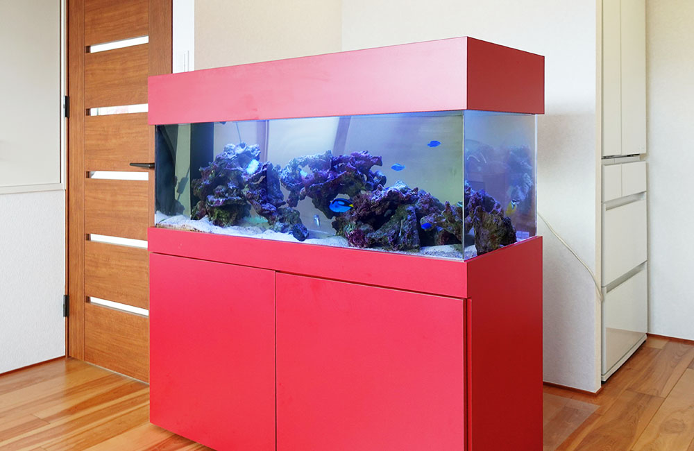オーダーメイド水槽販売のその後！個人宅様の120cm海水魚水槽一式のサムネイル画像