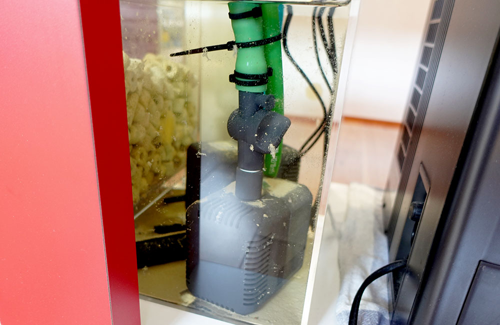 水槽内に設置された水中ポンプと緑色のホースの接続部