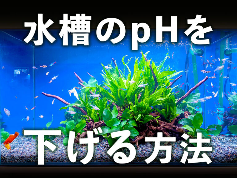 水槽のpHを下げる方法の文字と水草水槽の見出し画像