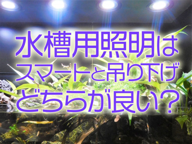水槽用照明はスマートと吊り下げどちらが良いの見出し画像
