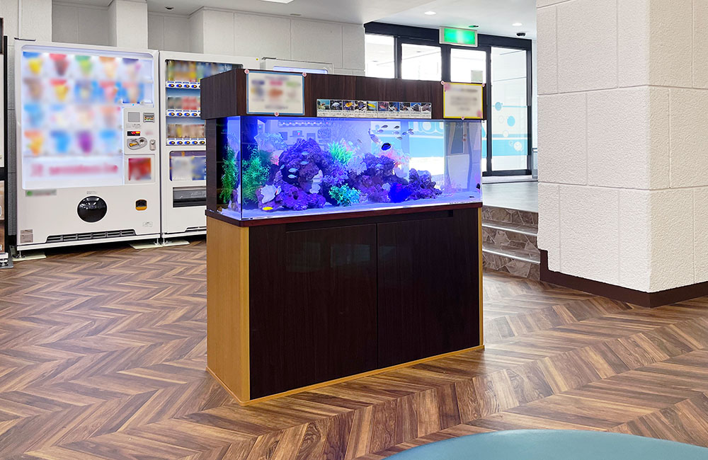 自販機前のロビーに設置された大型の海水魚水槽