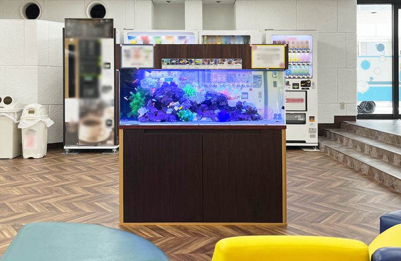 スイトピアアクオン様のエントランスに設置！120cm海水魚水槽 水槽画像２