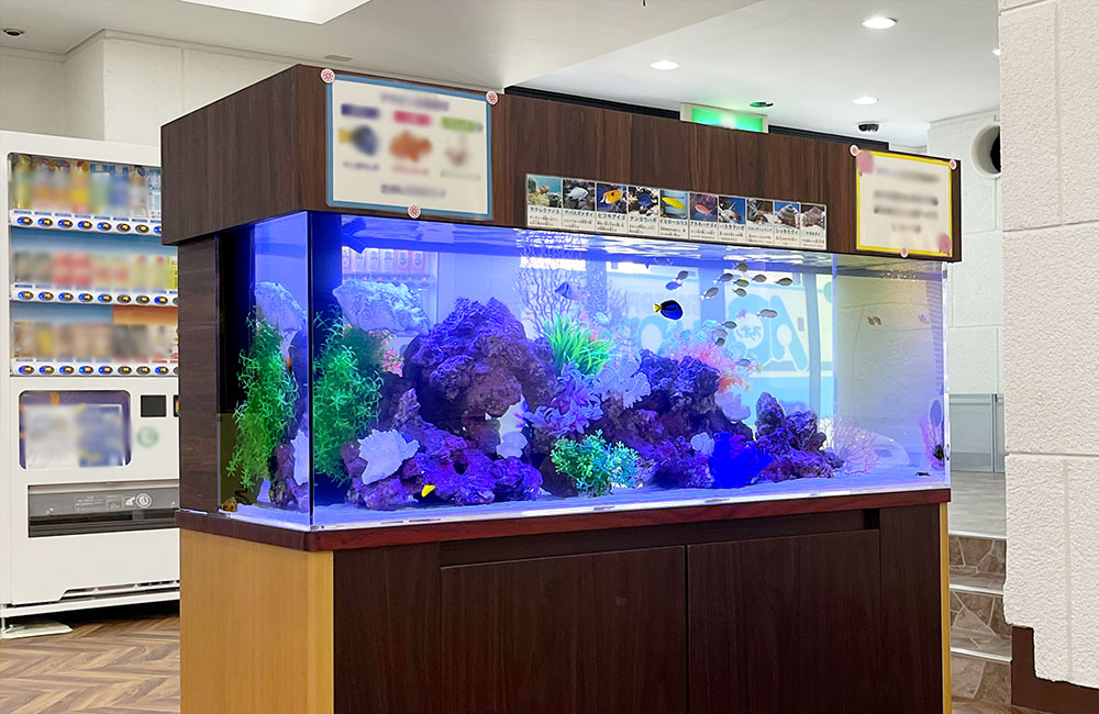 スイトピアアクオン様のエントランスに設置！120cm海水魚水槽