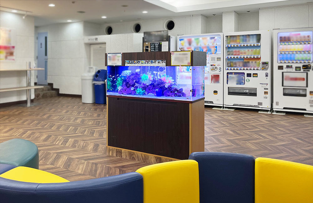 自動販売機前の休憩所に設置された青い照明の海水魚水槽