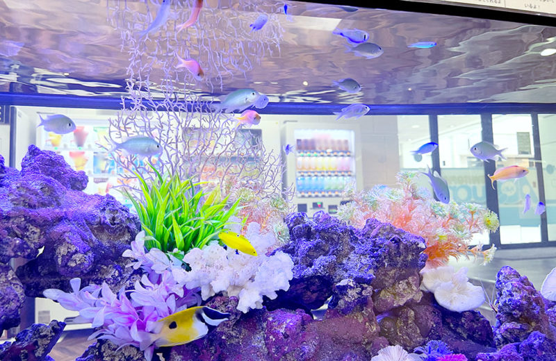 スイトピアアクオン様のエントランスに設置！120cm海水魚水槽 水槽画像４