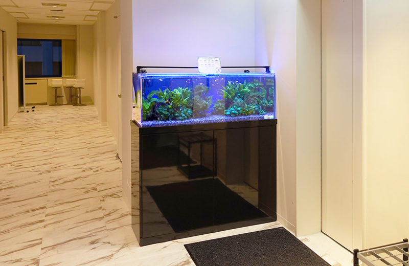 株式会社ワールドスカイ様の120cm淡水魚水槽レンタル事例・その後 水槽画像5
