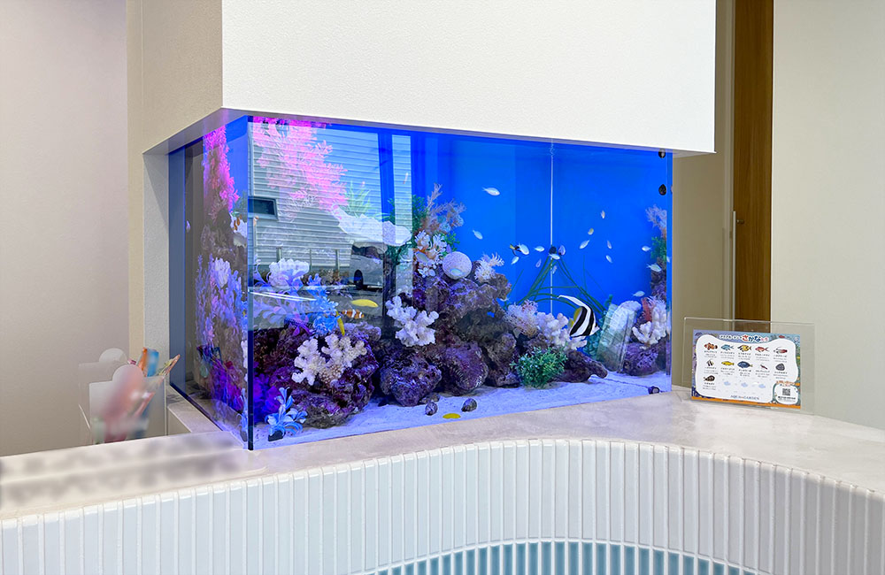 なおしデンタルクリニック様の85cm埋め込み水槽!海水魚が鮮やかですのサムネイル画像