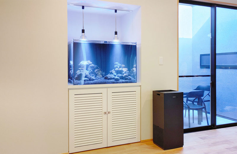 愛知県名古屋市 モデルルーム 埋め込み式60cm海水魚水槽 レンタル事例