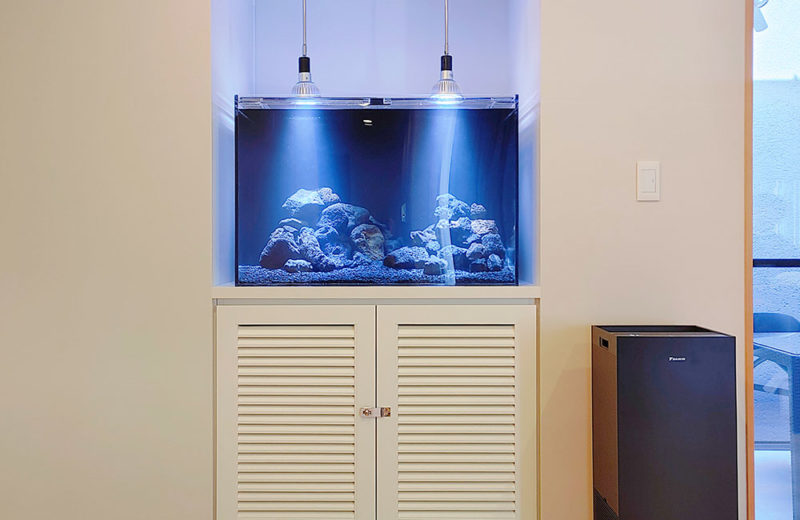 個人宅様の90cm水槽をレイアウト！ブラックサンドでかっこいい水槽 水槽画像２