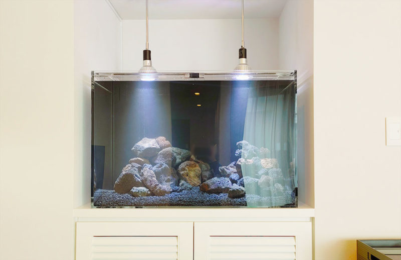 個人宅様の90cm水槽をレイアウト！ブラックサンドでかっこいい水槽 水槽画像３