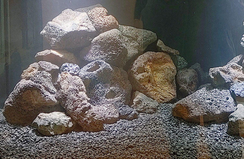 個人宅様の90cm水槽をレイアウト！ブラックサンドでかっこいい水槽 水槽画像４