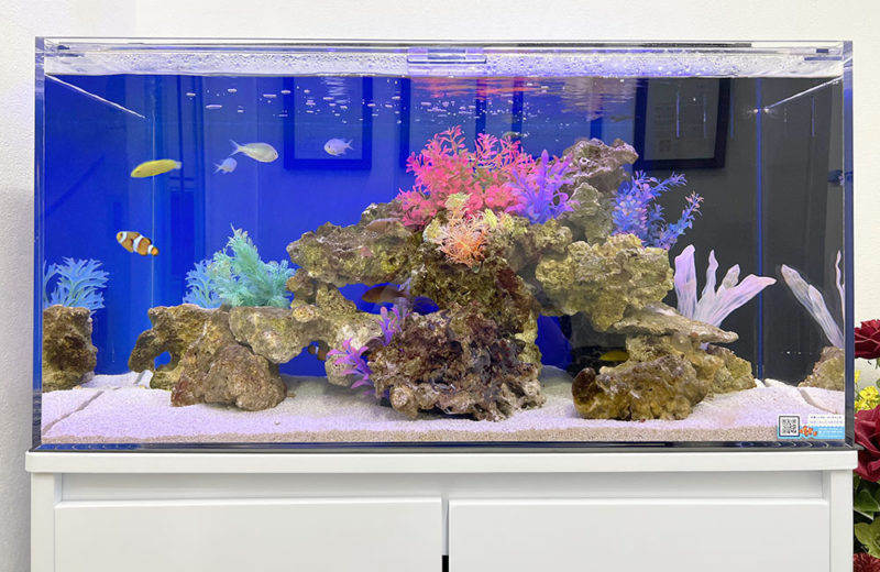 企業様の水槽を入れ替え・リニューアル!90cm海水魚水槽 水槽画像2