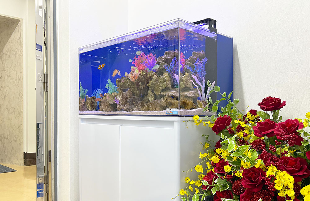 企業様の水槽を入れ替え・リニューアル！90cm海水魚水槽のサムネイル画像