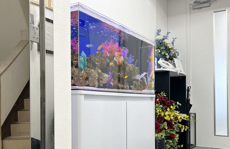 企業様の水槽を入れ替え・リニューアル!90cm海水魚水槽 水槽画像3