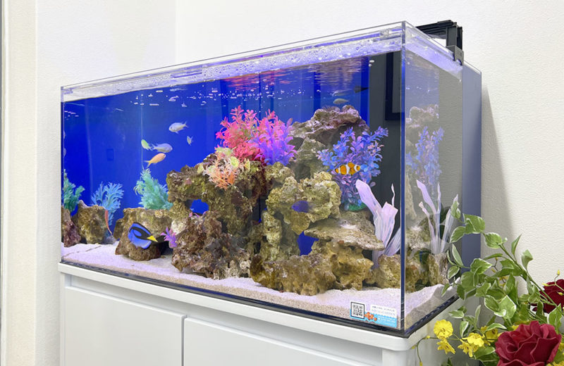 企業様の水槽を入れ替え・リニューアル!90cm海水魚水槽 水槽画像5